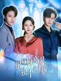 �����¸�����������