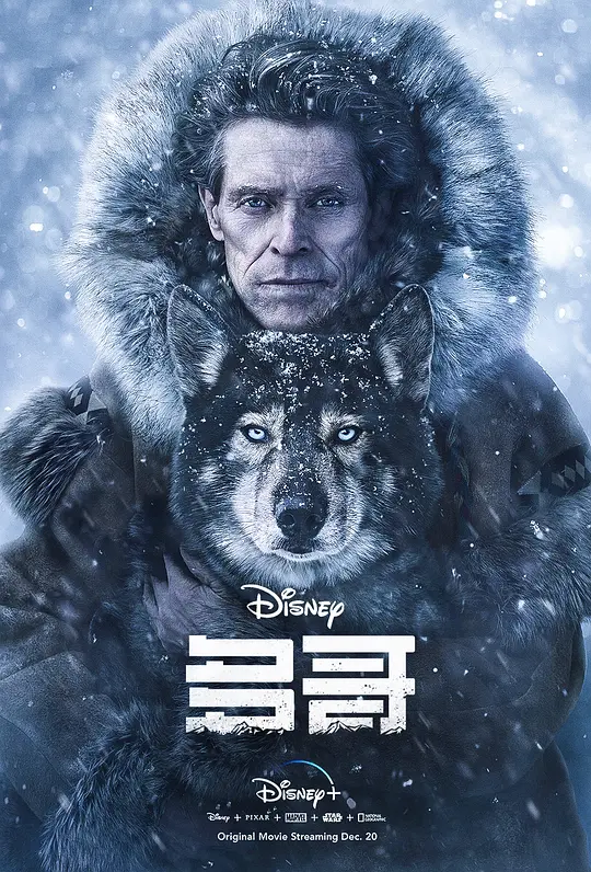 ��硾Ӱ�ӽ�˵��