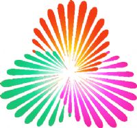 ȫ�˻������ʸ��� B���㽭77��70�Ϻ�20250605