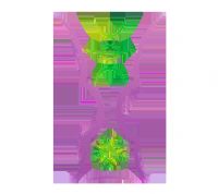 �������ޱ������ �й�vs������20250816