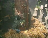 һǧ����ҹ֮��Ѩ