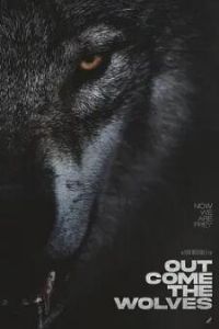 ��Ⱥ����