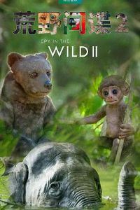 ��Ұ����ڶ���